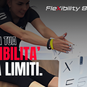 Flexibility Box Test